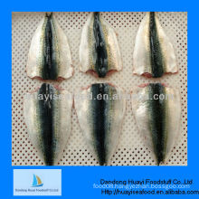 frozen mackerel fillets